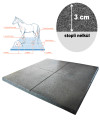 EquiFlex istállópadló gumilap - 3x100x100 cm, fekete, st 0